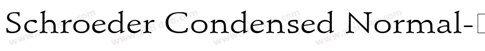 Schroeder Condensed Normal字体转换
